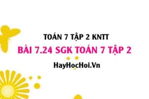 Bài 7.24 SGK Toán 7 tập 2 Kết nối tri thức